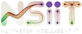 NSIIT
